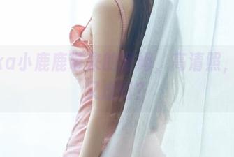 Shika小鹿鹿带来的蕾姆，高清照，真实又虚幻？