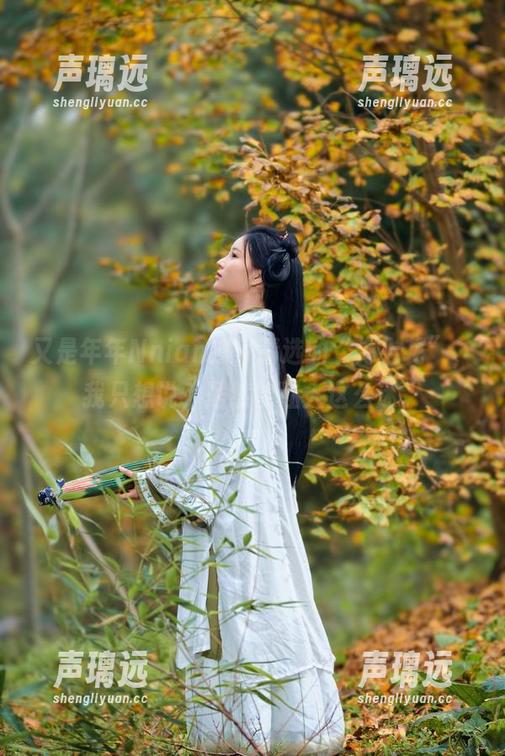 又是年年Nnian独家精选的“海上花”，我只想说，居然能让人这么迷。
