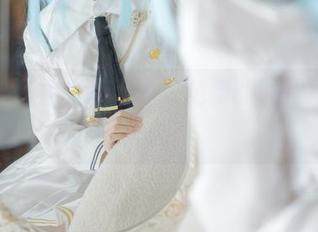 当矢量鱼遇上椿导游，免费的照片再加点迷惑！